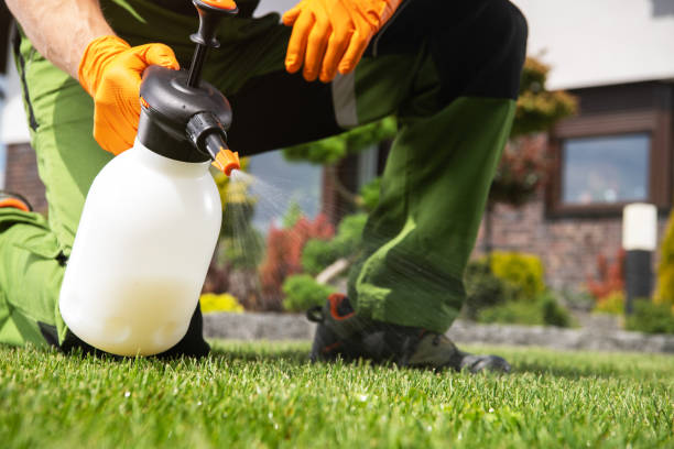Best Wasp Removal Services  in Tonganoxie, KS