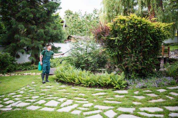 Best Best Pest Control Companies  in Tonganoxie, KS