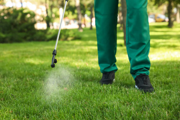 Best Pest Inspection Near Me  in Tonganoxie, KS