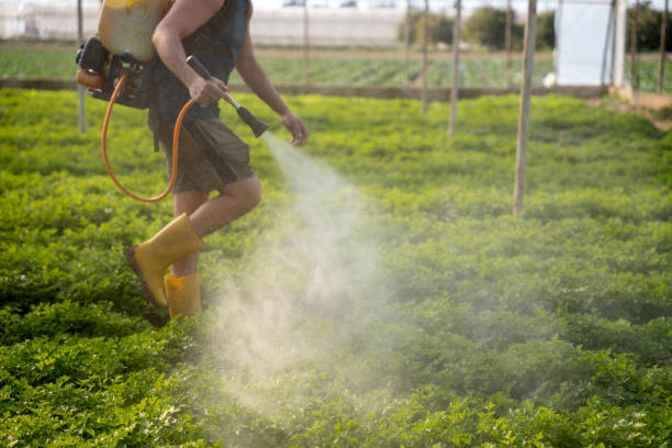 Best Pest Prevention Services  in Tonganoxie, KS