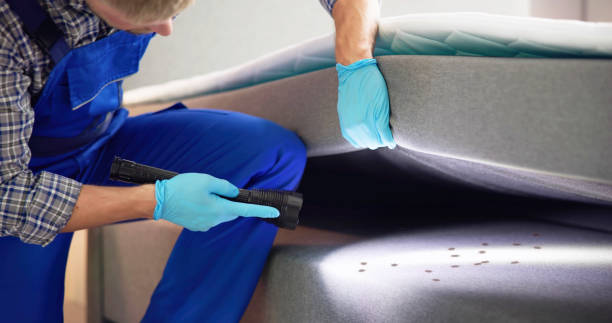 Best Mosquito Control Services  in Tonganoxie, KS