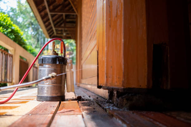 Best Pest Control Treatment  in Tonganoxie, KS