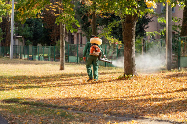 Best Exterminator Services  in Tonganoxie, KS
