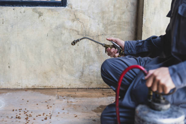 Best Best Pest Control Companies  in Tonganoxie, KS