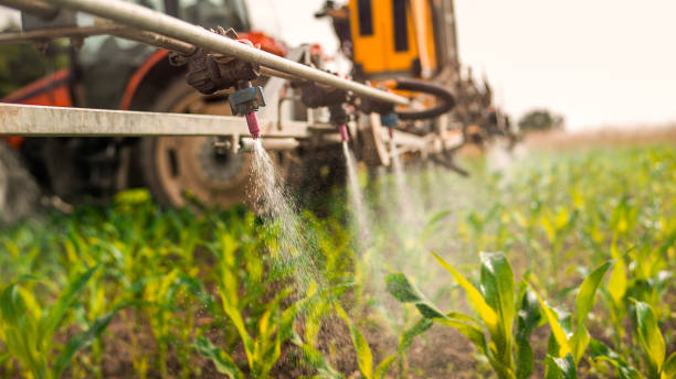 Best Local Pest Control Services  in Tonganoxie, KS