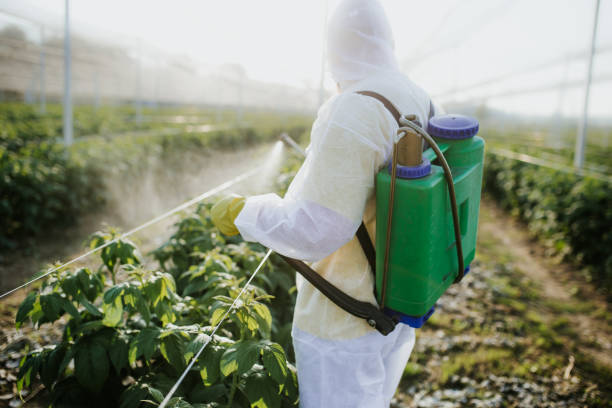 Flea Control Services in Tonganoxie, KS
